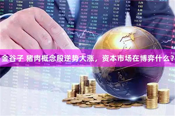 金谷子 猪肉概念股逆势大涨，资本市场在博弈什么？